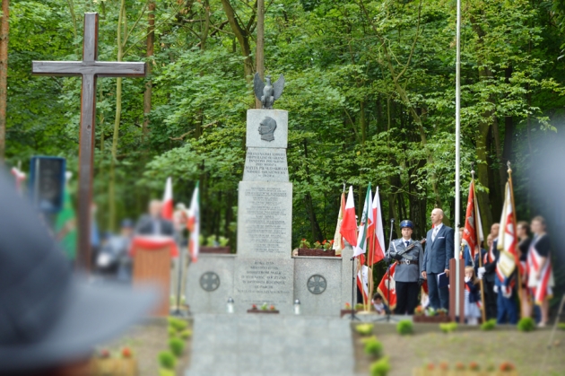 Zdjęcie ilustracyjne - obchody rocznicy Bitwy Warszawskiej i Święta Wojska Polskiego w Lipnie