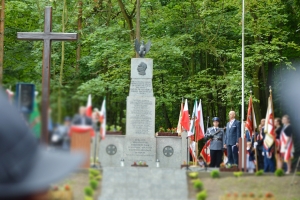 Zdjęcie ilustracyjne - obchody rocznicy Bitwy Warszawskiej i Święta Wojska Polskiego w Lipnie
