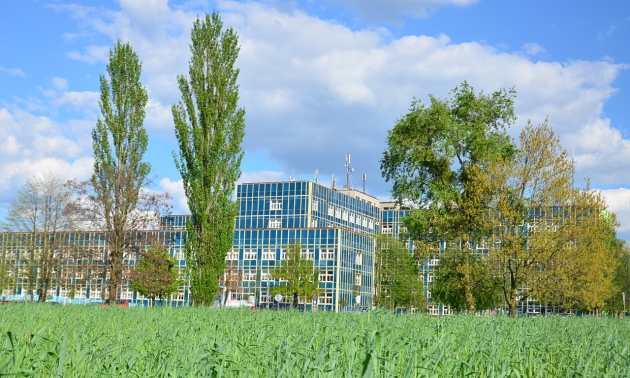 Widok na budynek spółki Szpital Lipno