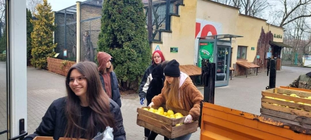Zajęcia wśród dzikich zwierząt