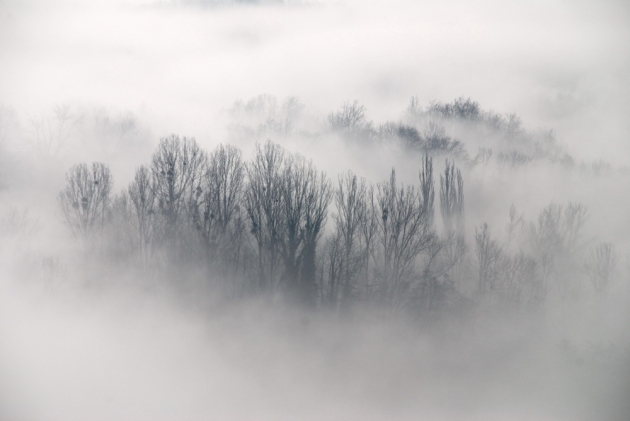 Zdjęcie ilustracyjne - gęsta mgła