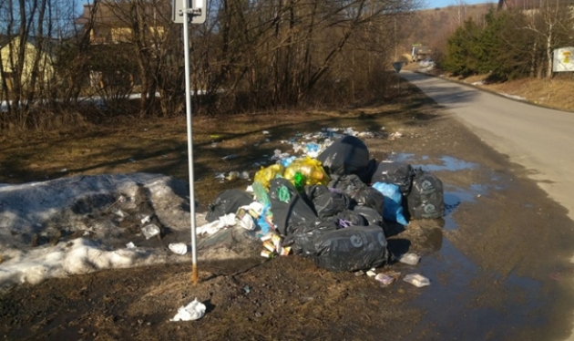 Śmieci zebrane przy powiatowej drodze