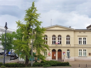 Miłorząb (KPCEN_Bydgoszcz)