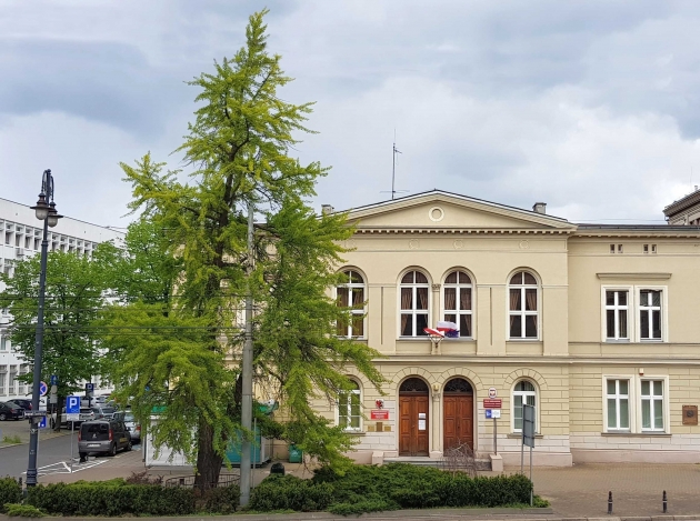 Miłorząb (KPCEN_Bydgoszcz)