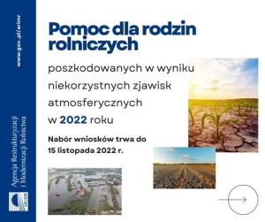 Grafika ilustracyjna 