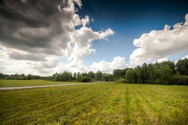 Lipnowsko-włocławska strefa gospodarcza w Kolankowie!