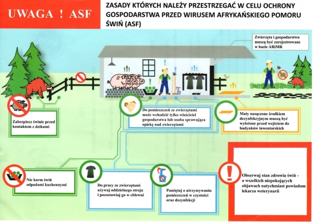 Zasady których należy przestrzegać w celu ochrony gospodarstwa przed wirusem Afrykańskiego Pomoru Świń (ASF)