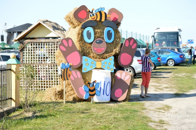 Witacz - Powiatowo-Gminne Dożynki 2019 w Kikole 