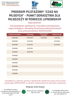 Program Pilotażowy &quot;Czas Na Młodych&quot; - Punkt Doradztwa Dla Młodzieży w Powiecie Lipnowskim