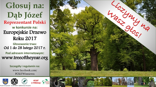 Włącz się do głosowania na Dąb Józefa!