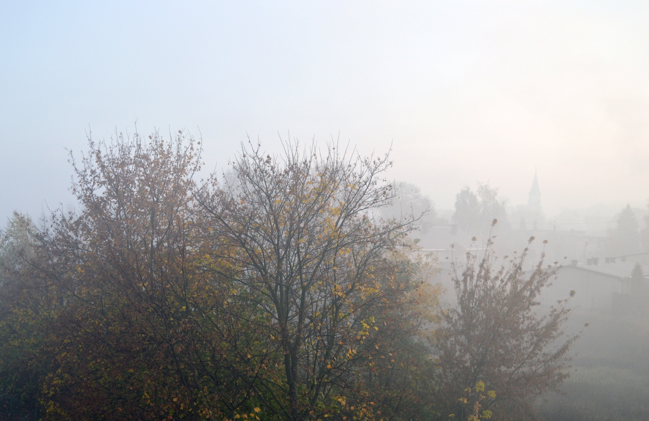 Ostrzeżenie meteorologiczne: Gęsta mgła